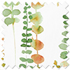 Santa Maria, Spring - Roller Blind